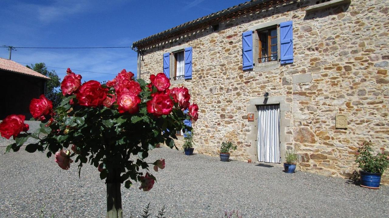 Gites & Chambres D'Hotes Peyrecout Laparrouquial Eksteriør billede